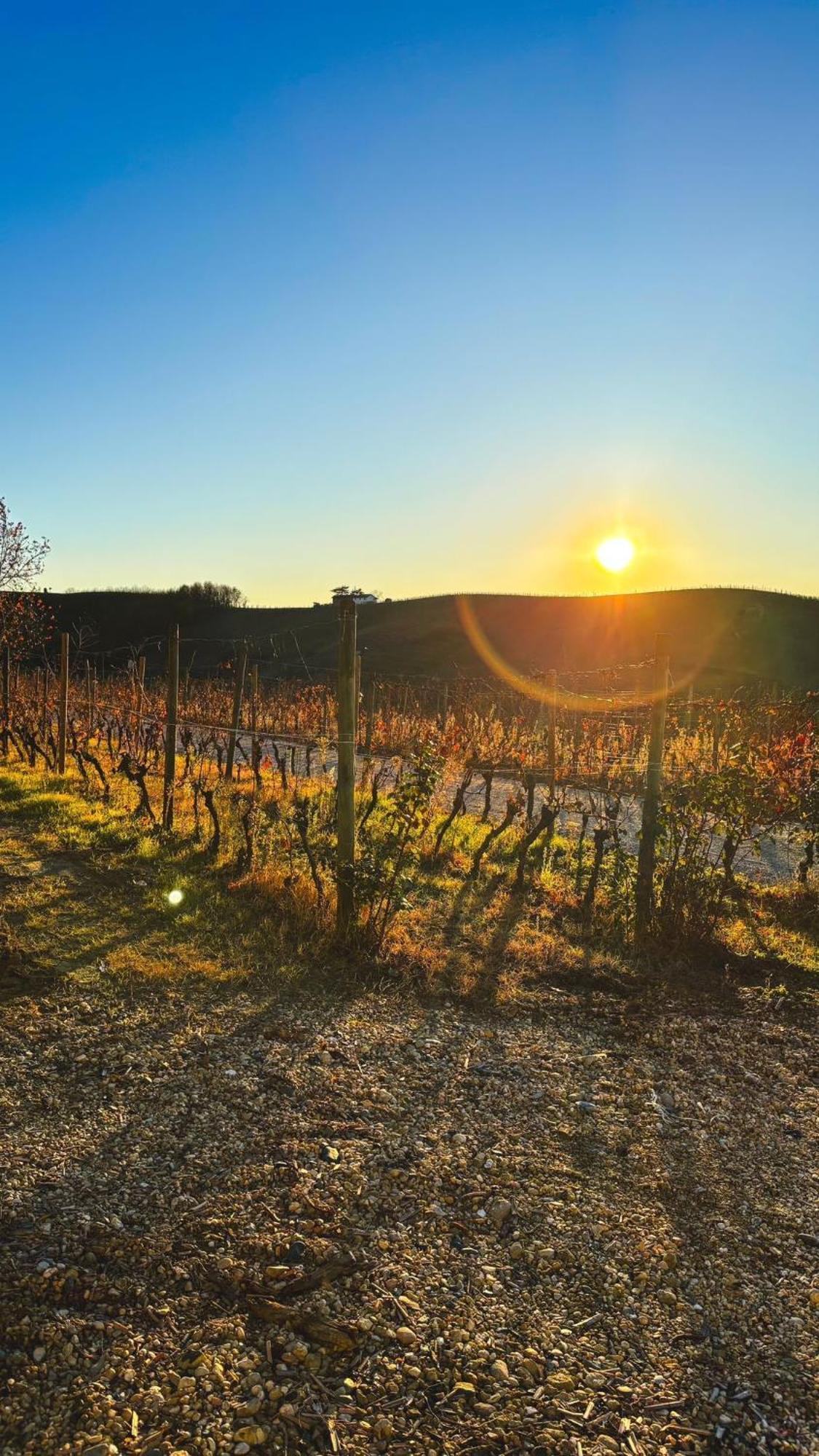 Tenuta Agricola La Cava- Cantina E Agriturismo San Damiano dʼAsti المظهر الخارجي الصورة