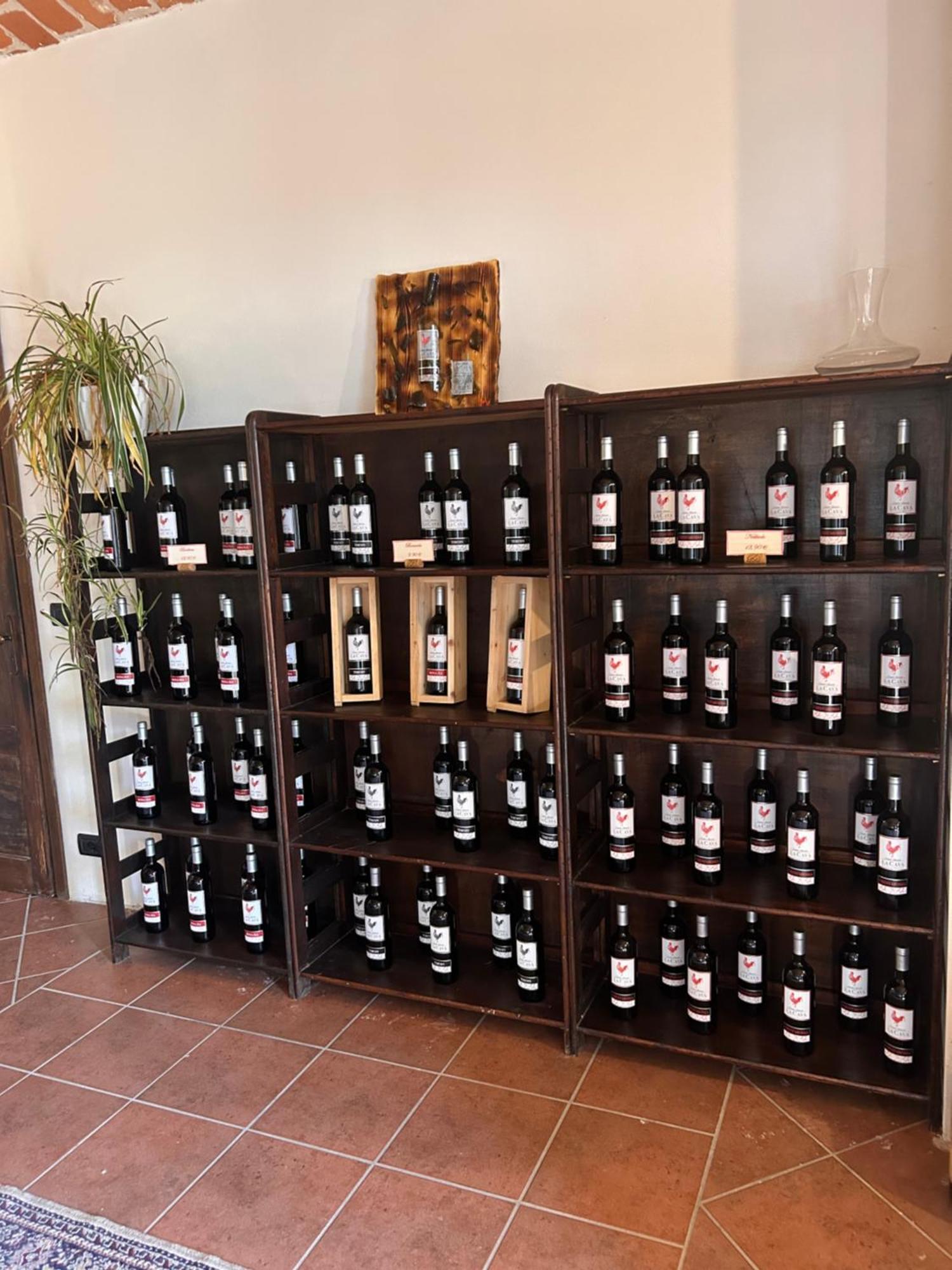 Tenuta Agricola La Cava- Cantina E Agriturismo San Damiano dʼAsti المظهر الخارجي الصورة