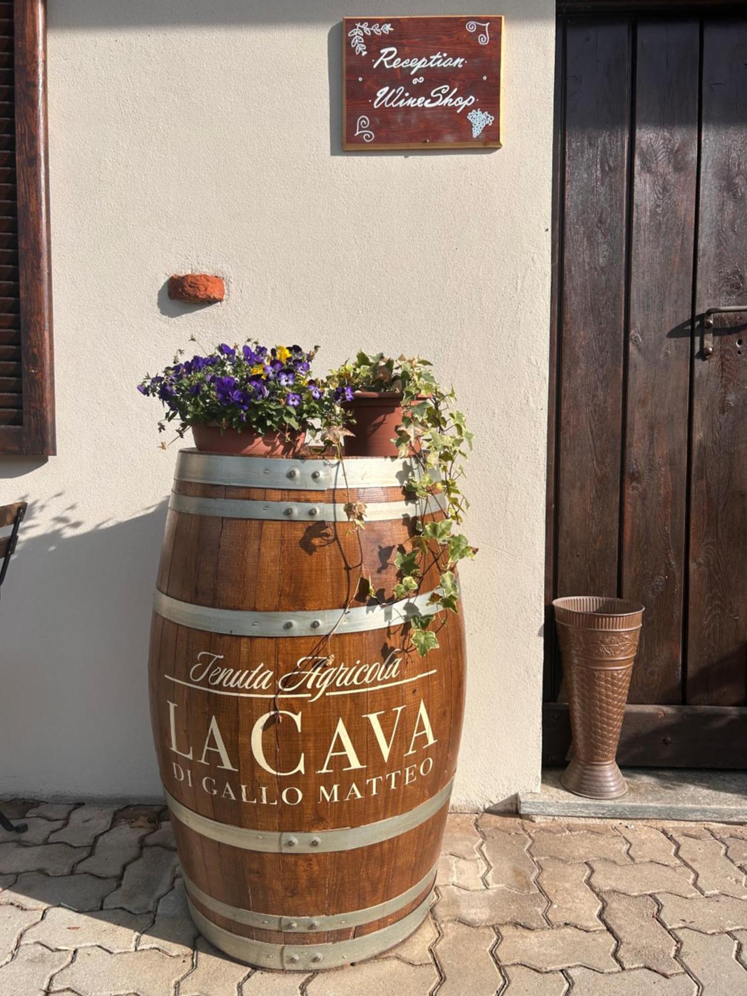Tenuta Agricola La Cava- Cantina E Agriturismo San Damiano dʼAsti المظهر الخارجي الصورة