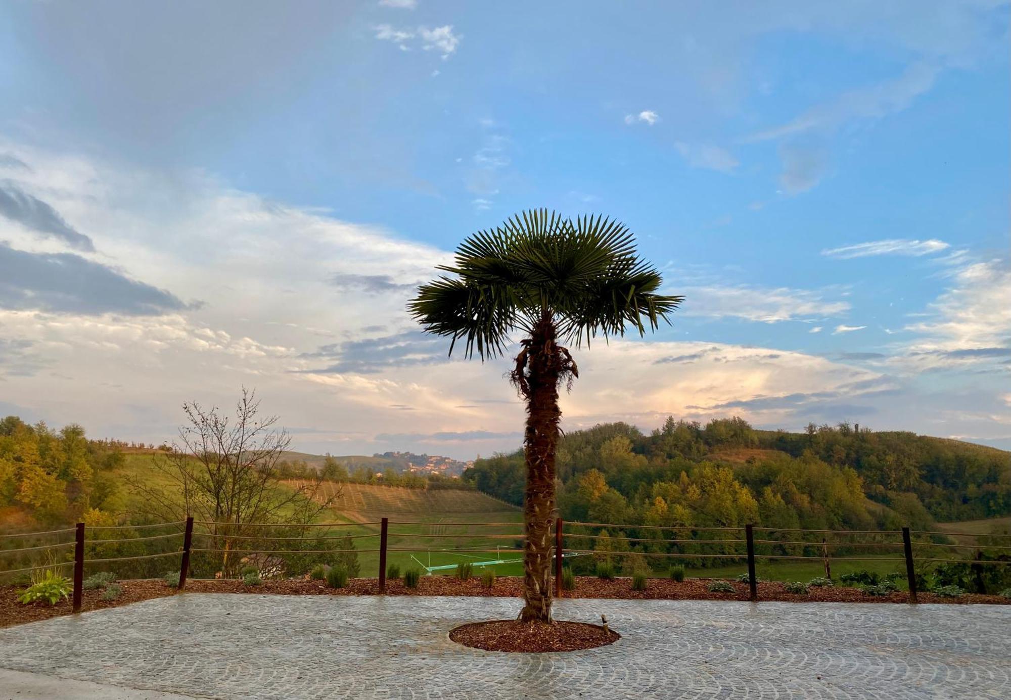 Tenuta Agricola La Cava- Cantina E Agriturismo San Damiano dʼAsti المظهر الخارجي الصورة